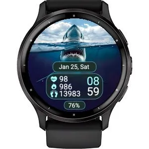 Shark