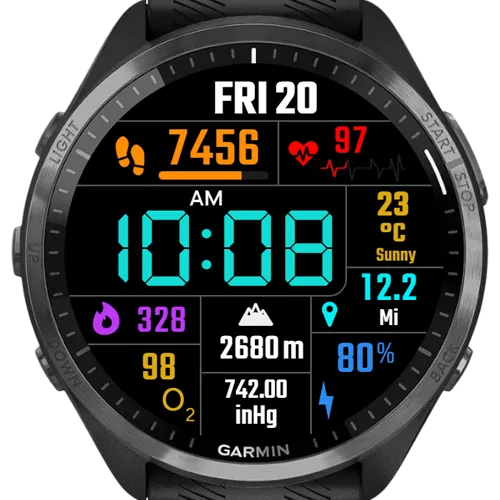 The Info Watchface