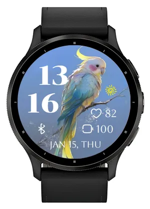 Pretty Parrot
