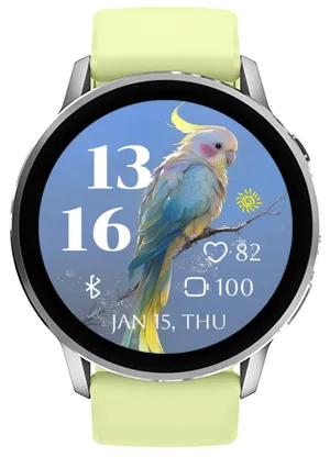 Pretty Parrot · 截图 1