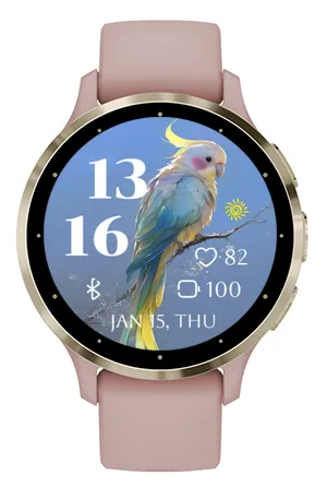 Pretty Parrot · 截图 3
