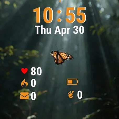 Butterfly Fly Away
