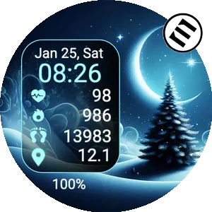 Christmas Magic Night