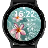 Aqua Plumeria · 截图 1