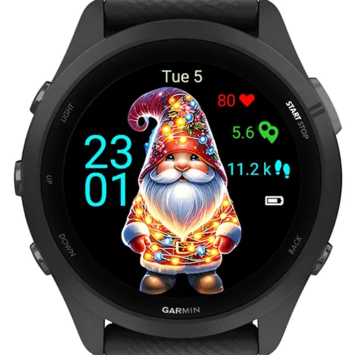 Christmas Gnome G · 螢幕截圖 0