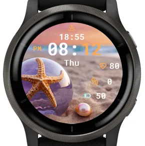 Beach Starfish · 截图 2