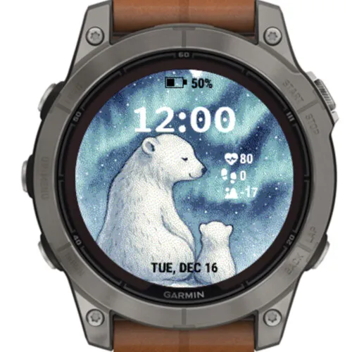 Polar bear · 截图 1
