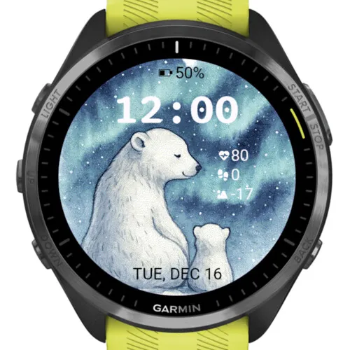Polar bear · 截图 2