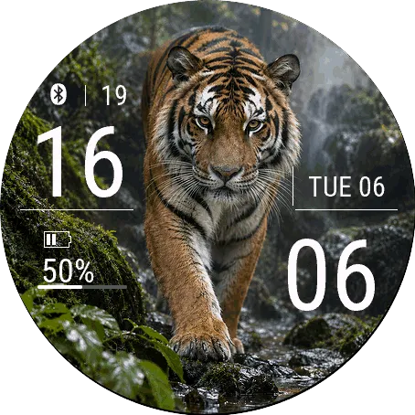 tiger
