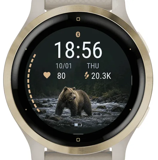River Bear · 截图 2