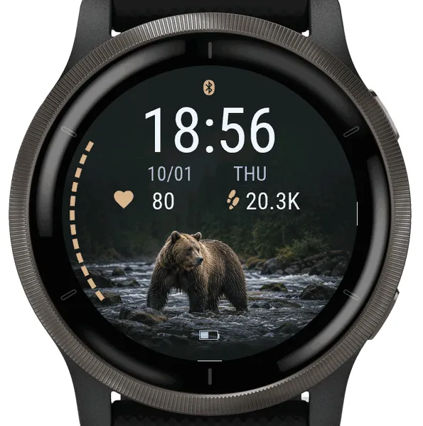 River Bear · 截图 3