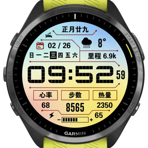 GMBP006
