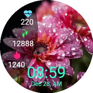 Rainy Bloom