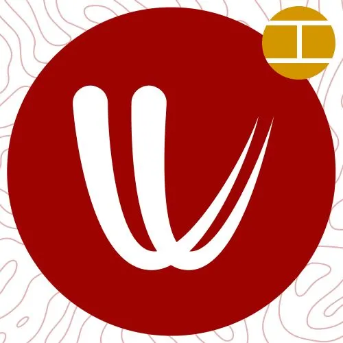 Windy.com Data Field