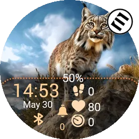 Wildlife W06 · Snímek obrazovky 0