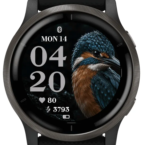 River King Fisher · Skjermbilde 3