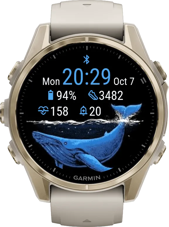 Whitewhale · Snímek obrazovky 3