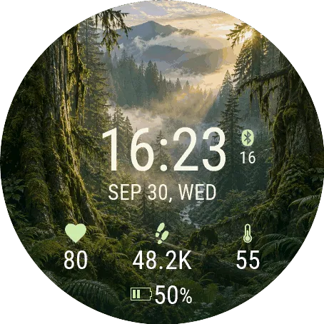 misty forest