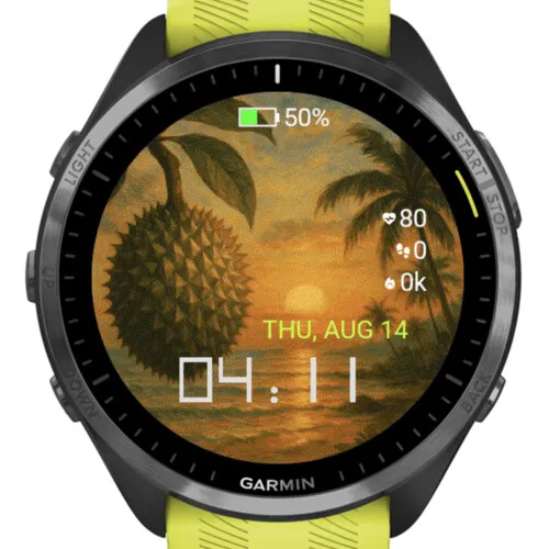 Durian Sunset Tropics