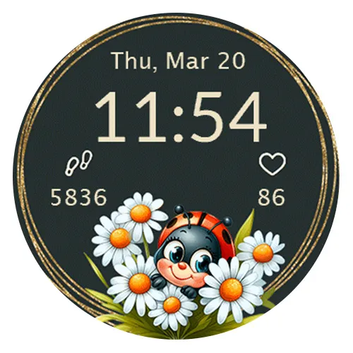 Ladybug